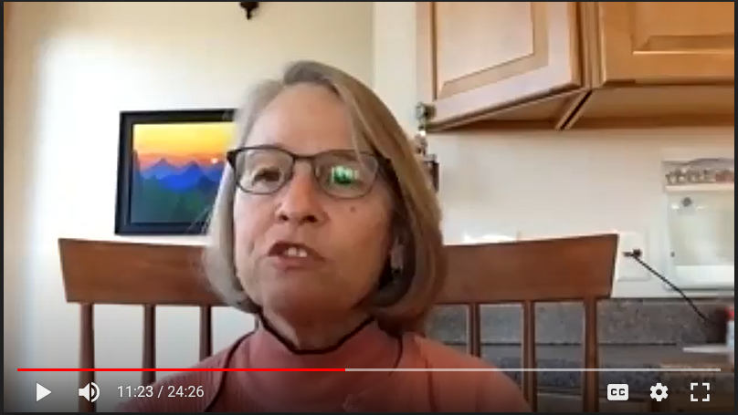 Miller-Meeks Election Day Zoom call with reporters